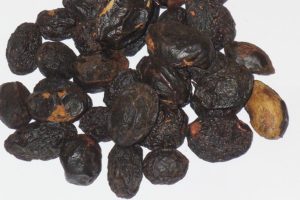 【ソウパルメット/ノコギリヤシ】<br />原料植物、健康茶として期待される効果効能