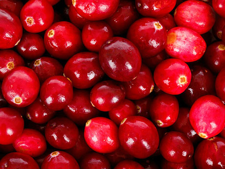 画像:クランベリー(Cranberry)