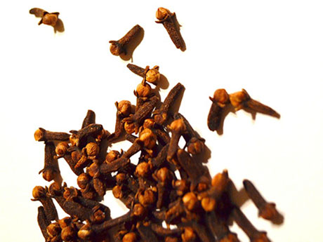 画像:クローブ(Clove)