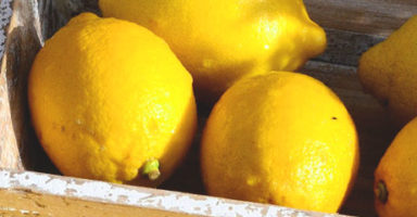 画像：レモンピール(Lemon peel)